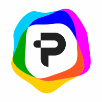 PowerBI Developer