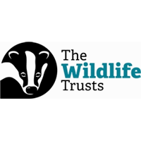 Interim Director of Finance and Business Support