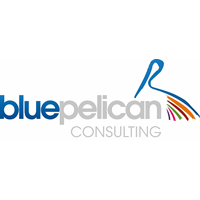 Interim CRM Implementation Manager