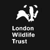 Head of Commercial - South West London, London