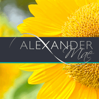 Portfolio Manager