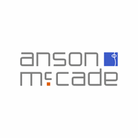 Power BI Developer