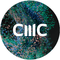 Payroll Administrator