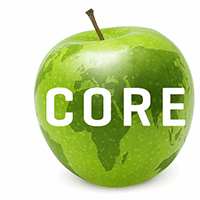Project Accountant (NetSuite implementation)